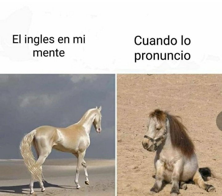 DarkSanti97's tweet image. ¿Alguien más?