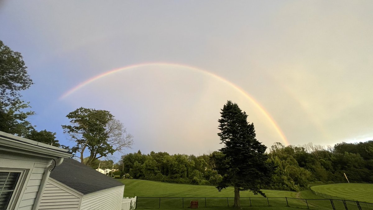 Lester Boggio tweet media