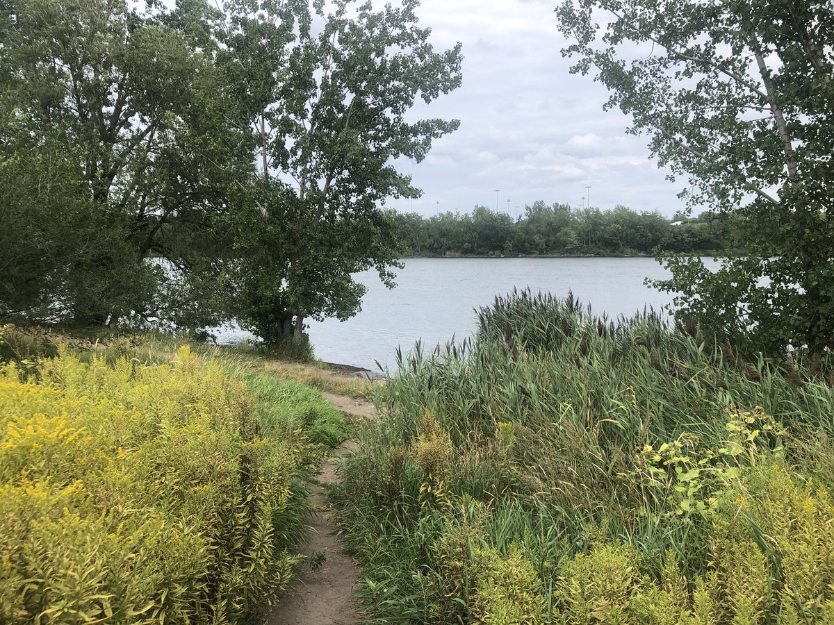 CL_opez's tweet photo. Made a cameo in Verdun earlier. Loving the path along the water. #mtlsummer https://t.co/ShFjSts9Hi