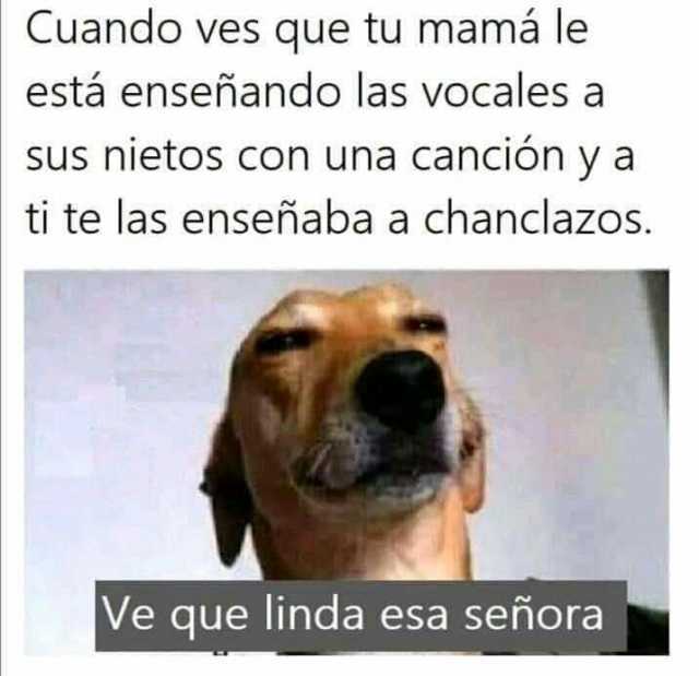 MemesDopl3r's tweet photo. Cuando ves que tu mamá le está enseñando las vocales a sus nietos con una canción ya ti te las enseñaba a chanclazos. Ve que linda esa señora #Chanclazo #Cancion #Chancla #Mamá #Linda #Nieto #MemesGraciosos #memes #memesespañol #momos #momazos #dopl3 https://t.co/cLivhF4GQi