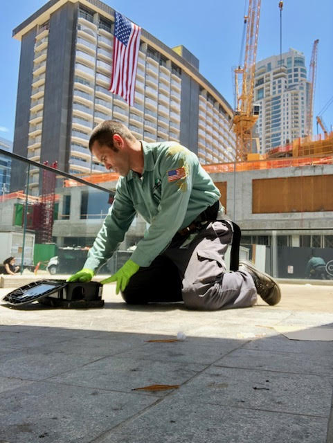 VersaTechPM's tweet image. Implementing a hiring &amp;amp; training protocol unique to the industry, Versa-Tech technicians go through a rigorous apprenticeship &amp;amp; licensing program regulated by the state, assuring our clients always get the highest trained technicians. #SanDimasPestControl #LosAngelesPestControl