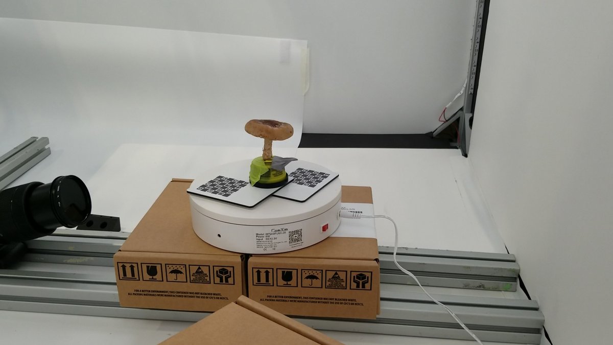 DGeneTech's tweet image. Behind the scenes with @zyntropics at #DGene &apos;s Louisiana set. Take a look at wonderland.zyntropics.com