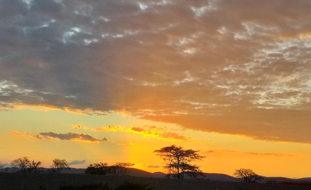 Ceyrali's tweet photo. Un atardecer en mi caserío, Las Tunas vía Cordero 🌵♥️🔥 #LaNorte #Tamaca https://t.co/RpsWIV7CFI