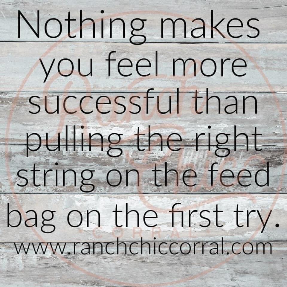 reltxrodeoqueen's tweet image. 