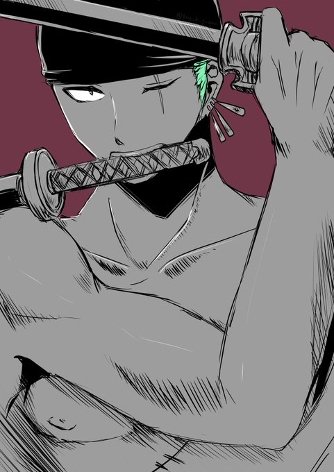 ロロノア ゾロのtwitterイラスト検索結果 古い順