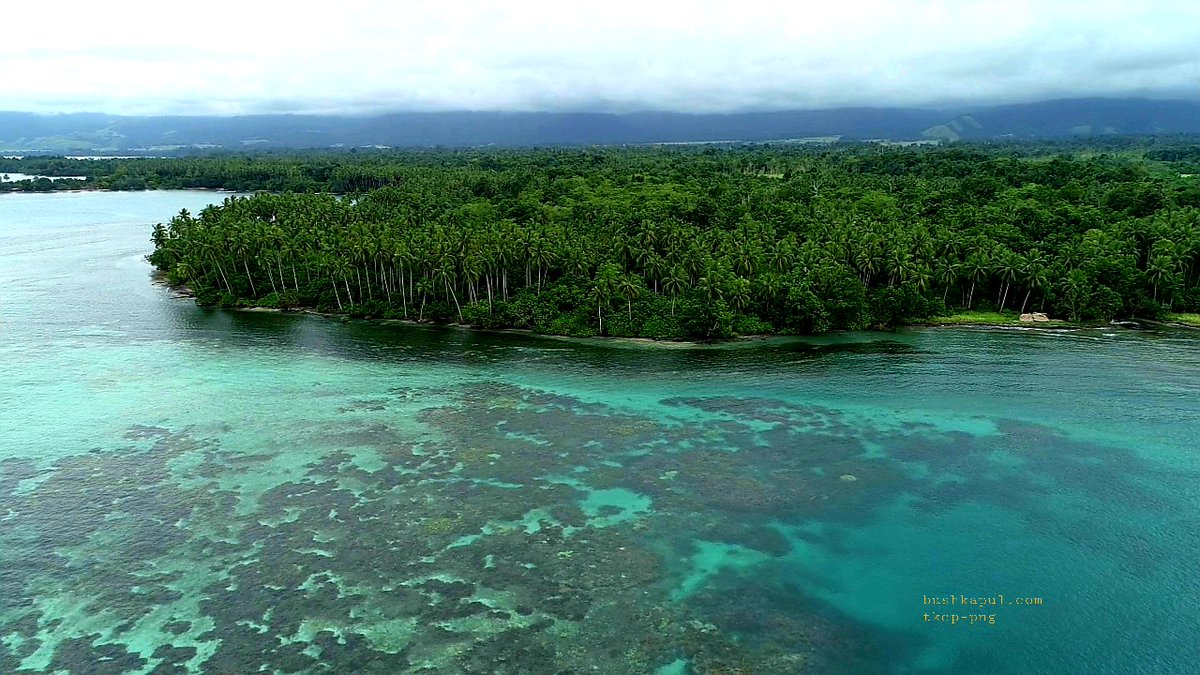 NaneDanny's tweet photo. Marine Monitoring Program, Tree Kangaroo Conservation Program #yus_Conservation_Area Papua New Guinea. Aerial view of part of the Protected Reef along the coastline of the YUS Conservation area. https://t.co/qSJfG6wpV9