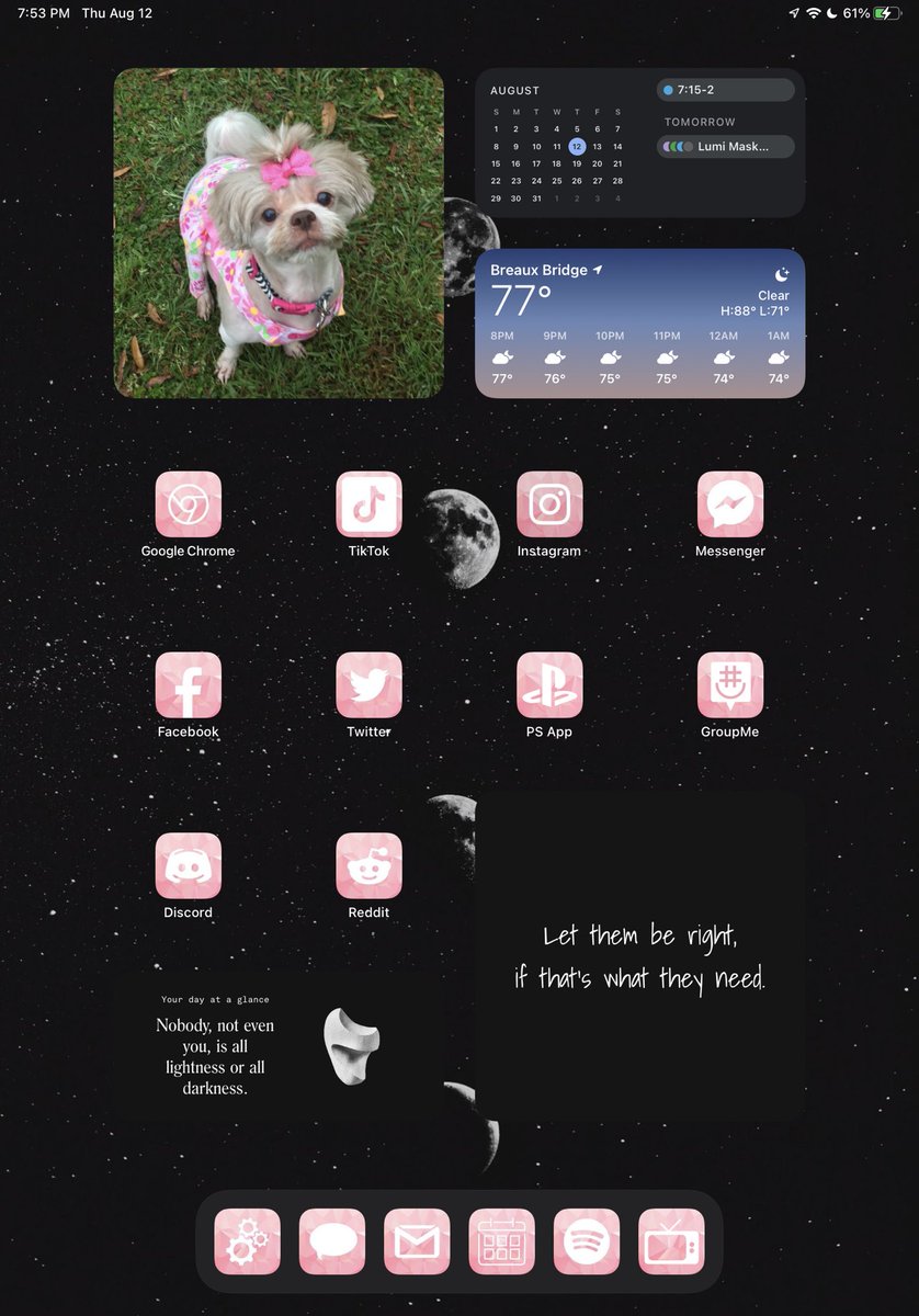 stacieplaisie's tweet image. Trying the #iOS15beta5 for my iPad, and im in love.