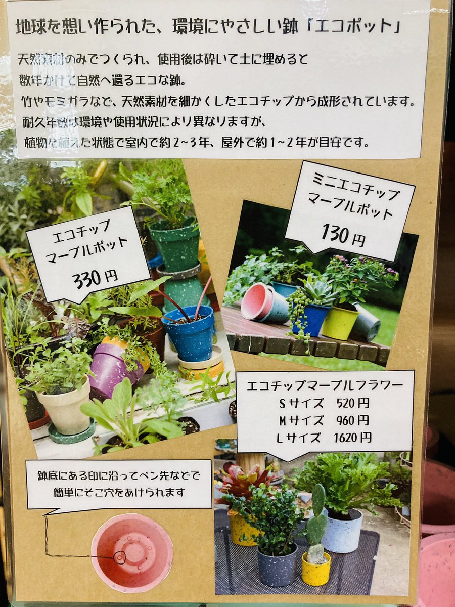 ガーデンマルシェ 下関 防府 V Twitter 下関店 カラフルなエコポット 使用後は土に埋めると自然に還るそうです サイズいろいろ 底皿付きもありますよ ガーデンマルシェ 下関 寄せ植え 園芸 ガーデニング 花屋 ガーデン 花のある暮らし 花のある