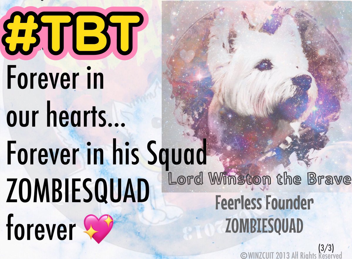 ZombieSquadHQ's tweet photo. @BraveWinston *salutes the night sky* Always our hero #ZSHQ https://t.co/pLwqqPYWex