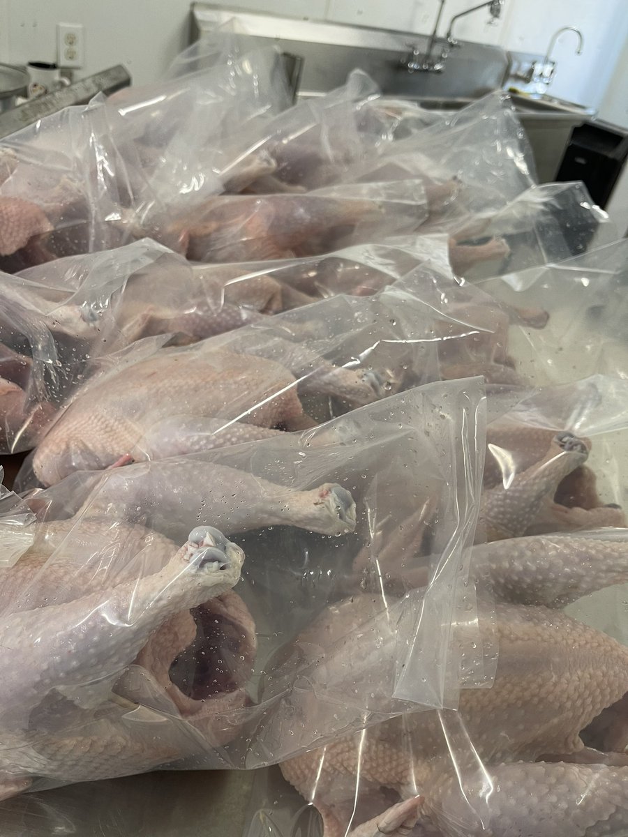 Processed a bunch of freedom rangers today, nothing better then slow grown #pastureraised chicken. Dad had the same set of knifes for 15 years, today I broke them out for the first time since he past. I’ll never buy a cheap knife againI see why he wouldn’t let anyone touch them😂