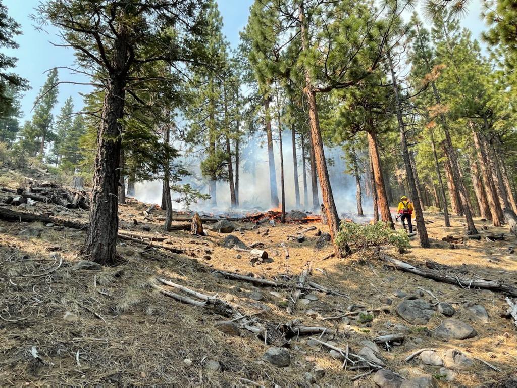 TMFPD's tweet photo. ⚠️ #WhitesFire in Galena Forest, final update. 100% contained. #TMFR firefighters and resources will continue to work on full control via mop-up throughout the evening and tomorrow. @washoecounty @HumboldtToiyabe @blmnv @WashoeSheriff https://t.co/eoJHOflASD