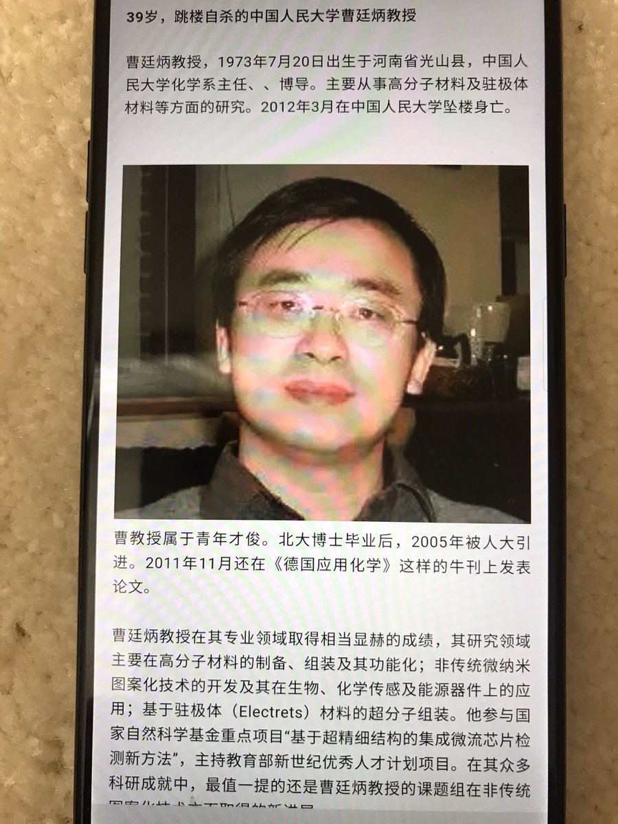 相似象学会誌　相似象　第１３号 谷风on X: 