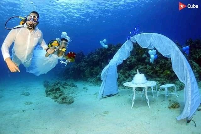 HavanaturCuba's tweet photo. ♥️💍#CuriosidadesHavanatur #Boda Subacuática en #PlayaCoral 🧜‍♂️🧜‍♀️ https://t.co/79HVkePl5e