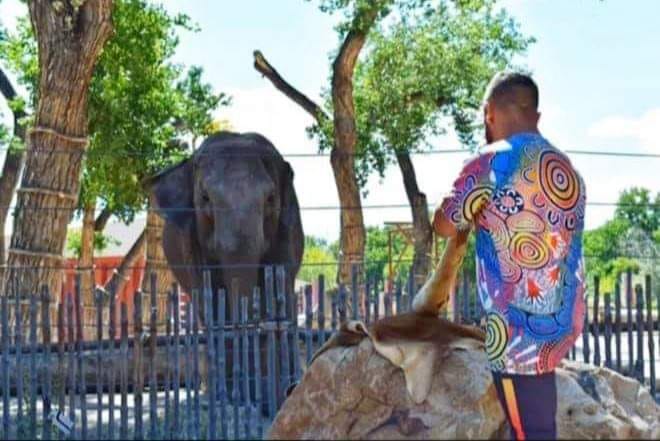 Massive shout out to my Girl "Irene" over in Albuquerque New Mexico, Happy elephant Day to you and all the amazing elephants in the Bio Park ❤ we will one day meet again that I'm certain 🤞🏾🙏🏾💯 <a href="/abqbiopark/">ABQ BioPark</a>