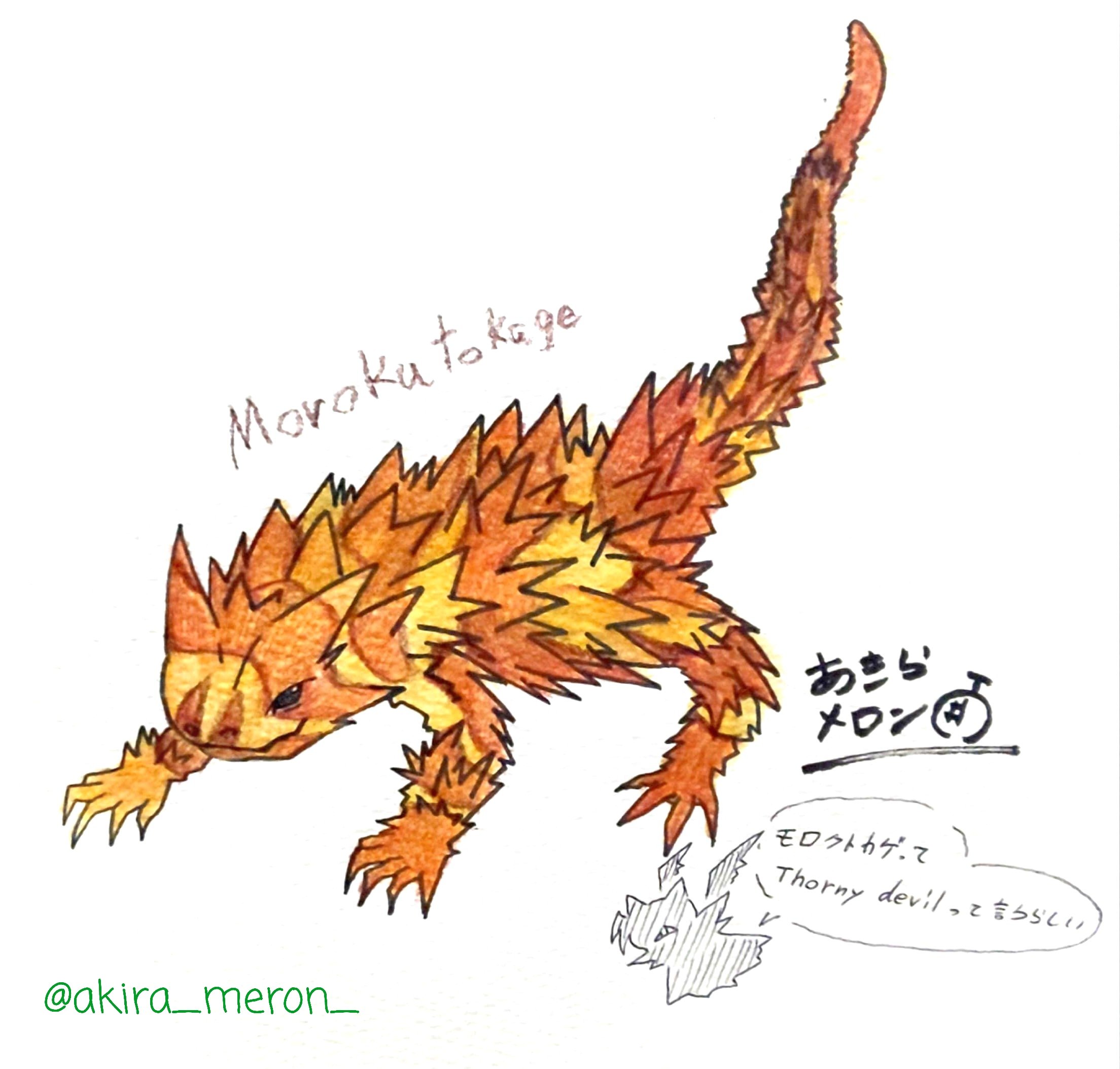 モロクトカゲ Twitter Search Twitter