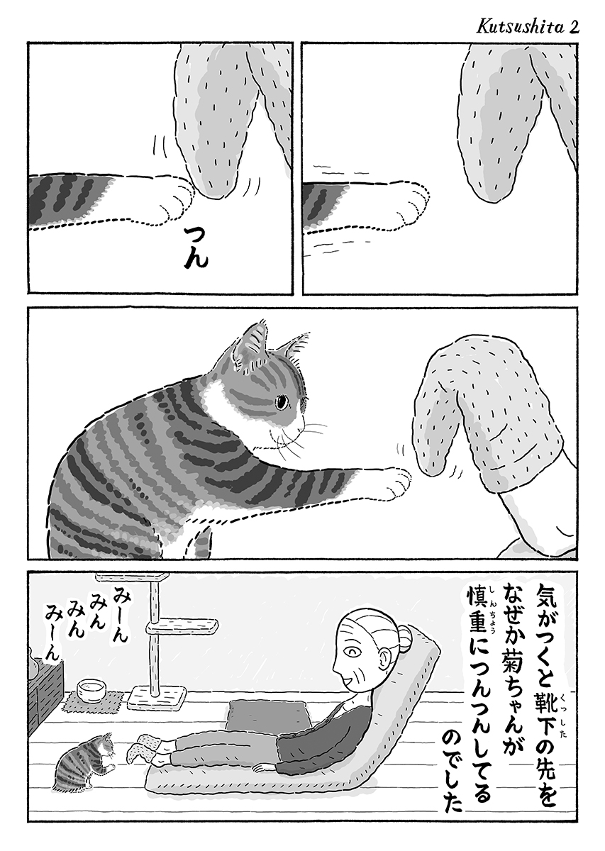 2ページ猫漫画「はんぶん靴下」 #猫の菊ちゃん 
