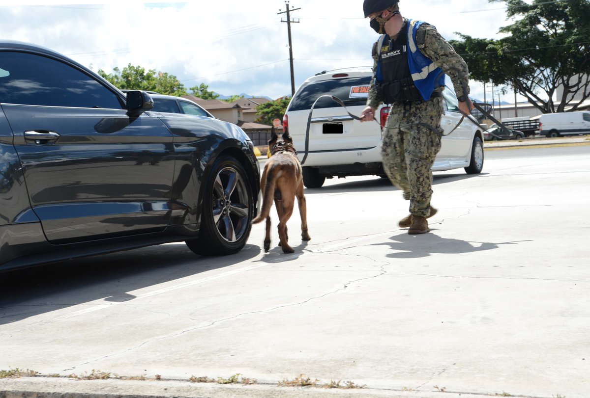 JointBasePHH's tweet photo. #ExerciseCitadelPacific2021 an anti-terrorism/force protection exercise conducted by CNIC on Navy installations in the Pacific, has been held at various locations on JBPHH this week.

@USNavy #ReadyNavy #CitadelPacific #CNIC #NavyReadiness #647SFS 

📷's by SSgt Jasmonet Holmes https://t.co/6fkti6iqFY