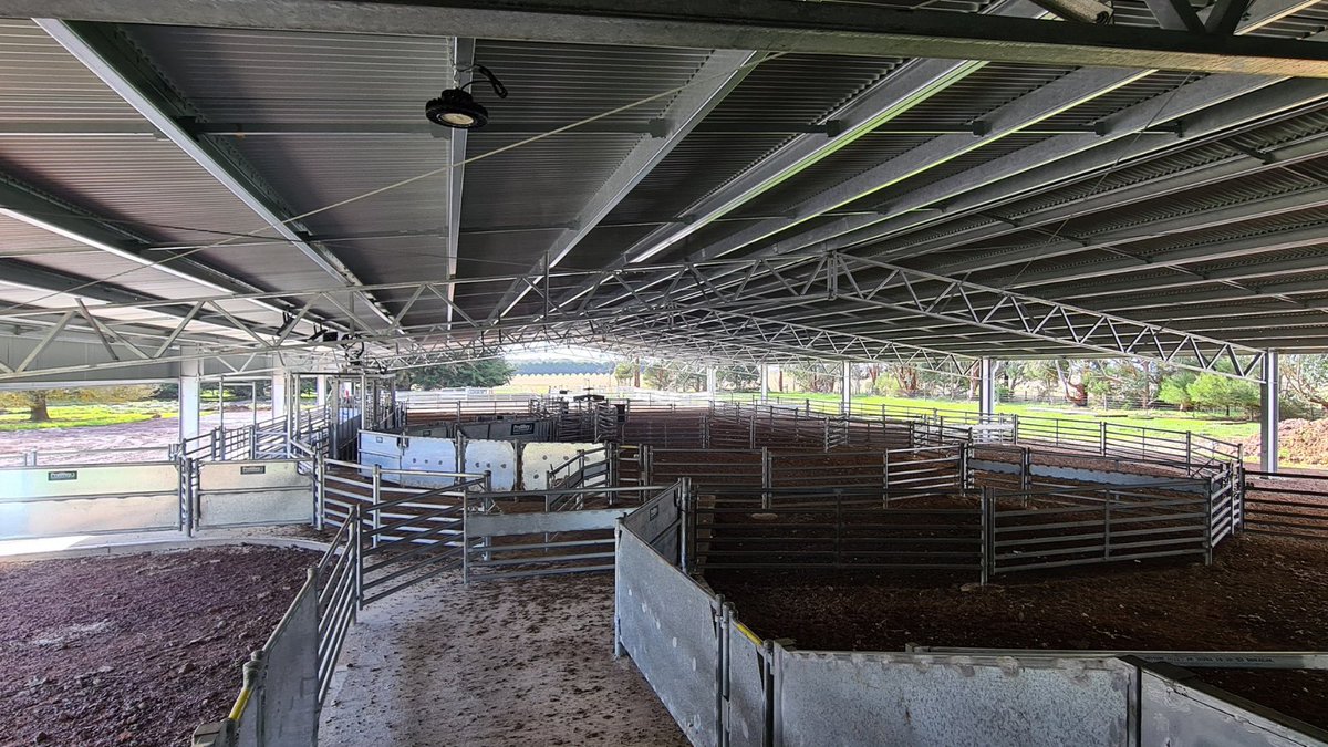 ActionSteel's tweet photo. Here’s how to keep your sheep dry and your shearers happy!
A 45m x 24m x 3m sheep yard cover with yards by @ProWay2000.
📍Caramut VIC
#BigSheds #ProWayAUS https://t.co/Y7PtXocJwk