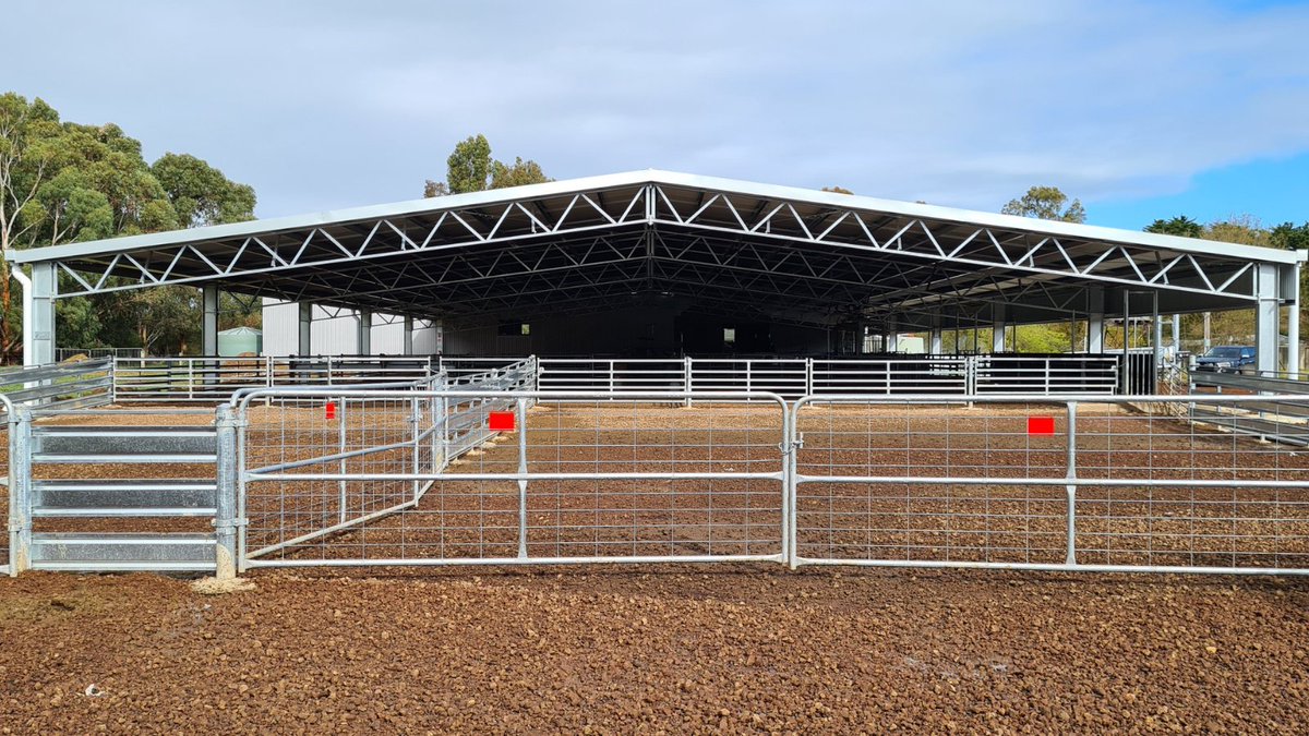ActionSteel's tweet photo. Here’s how to keep your sheep dry and your shearers happy!
A 45m x 24m x 3m sheep yard cover with yards by @ProWay2000.
📍Caramut VIC
#BigSheds #ProWayAUS https://t.co/Y7PtXocJwk