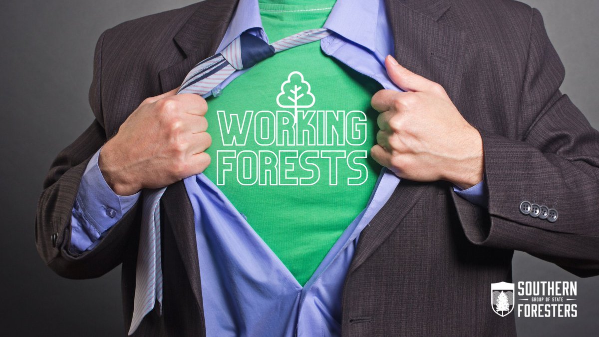 SGSF_Forests's tweet photo. Move over @CaptainPlanet - Working forests are the true climate-change superheroes! LEARN MORE: https://t.co/6j13cocR0x

#DYK - Working forests actively absorb 17% of all CO2 emissions in the country. 
#southernforests #forestproud #workingforests #climatechange #climatecrisis https://t.co/cF9AHwmXu3
