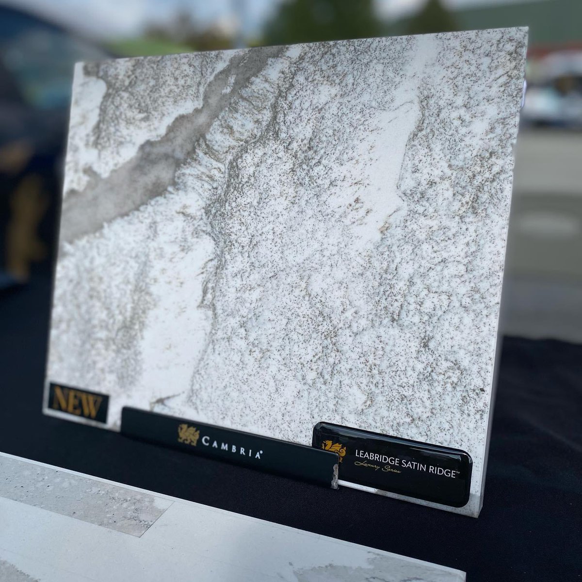 allison bickerstaff tweet media