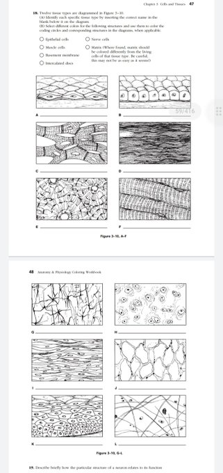knows_med's tweet photo. BUNDLE ✨✨✨
📌Anatomy and Physiology Coloring and Labelling textbook 
&amp;
📌Understanding Human Anatomy Visual Approach

For those students na mahilig mag color and mafamiliarize ang bawat label, this is for you. 
📌Lifetime access
📌Downloadable
📌Printable
📌Student-budget https://t.co/4QLDHZaaPg