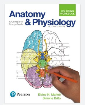 knows_med's tweet photo. BUNDLE ✨✨✨
📌Anatomy and Physiology Coloring and Labelling textbook 
&amp;
📌Understanding Human Anatomy Visual Approach

For those students na mahilig mag color and mafamiliarize ang bawat label, this is for you. 
📌Lifetime access
📌Downloadable
📌Printable
📌Student-budget https://t.co/4QLDHZaaPg