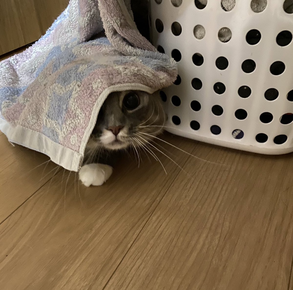 おはようございます