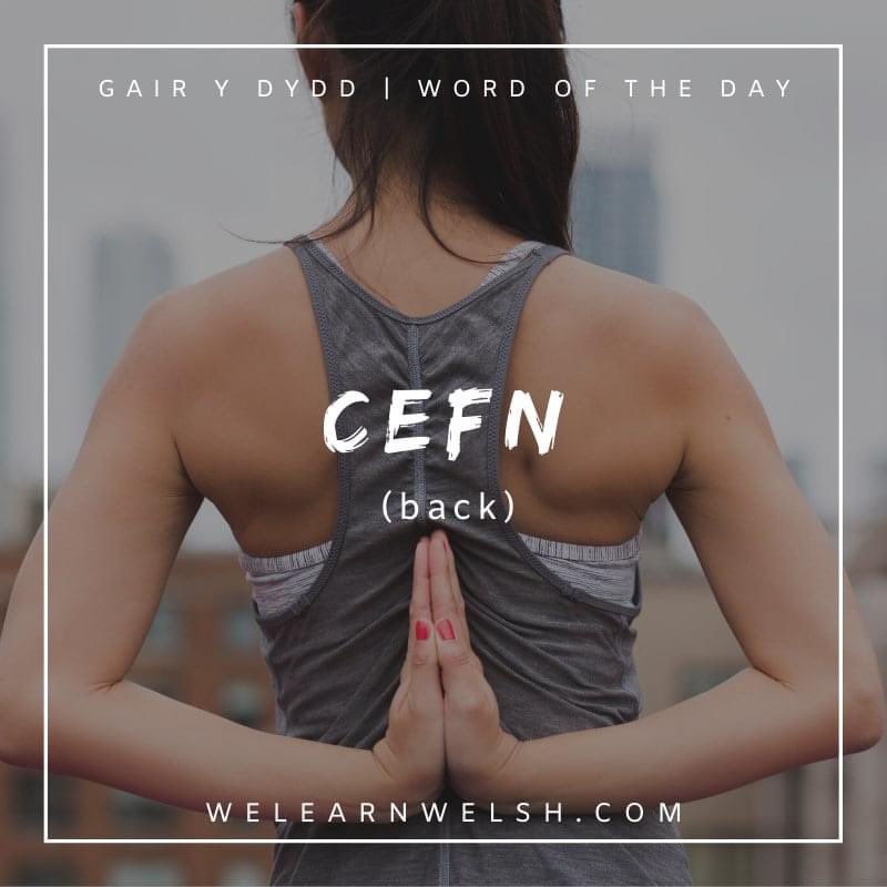 We Learn Welsh (@welearnwelsh) on Twitter photo Gair y dydd / Word of the day: cefn (back)
Mae gen i boen yn y cefn isaf. = I have lower back pain.
#welsh #cymraeg Gair y dydd / Word of the day: cefn (back)
Mae gen i boen yn y cefn isaf. = I have lower back pain.
#welsh #cymraeg