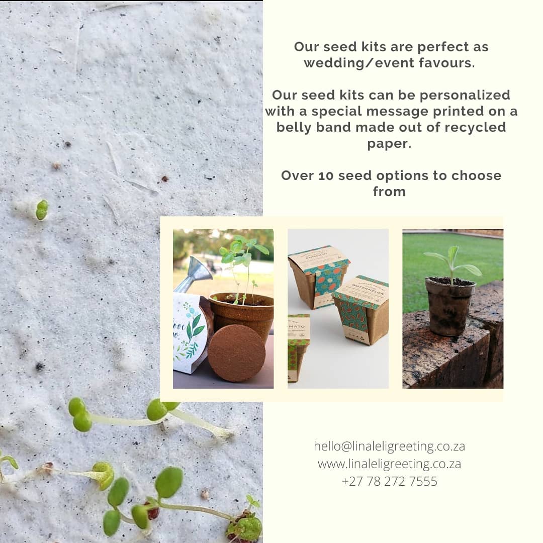 LinaleliC's tweet image. 🌱 PLANTABLE PAPER promo list 🌱
DM/ 📧 linaleli.greeting@gmail.com OR whatsapp +27 78 272 7555 - to find out how our products can amplify your sustainable marketing efforts, your end of year gifting and your special events 💐
2021 orders CLOSE on 26 November 2021
🌱💚🌱💚