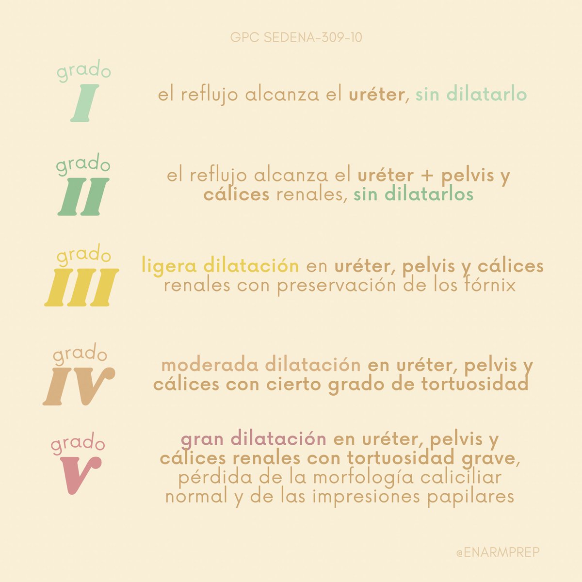 enarmprep's tweet image. REFLUJO VESICOURETERAL #enarm #ENARM2021 #enarmprep