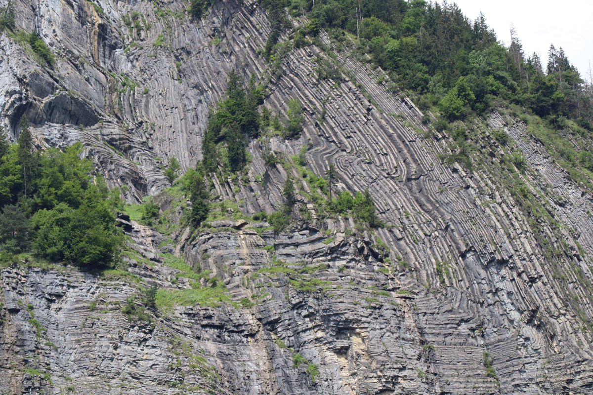 Look at this beauty! 

#FoldFriday #FridayFold #StructuralGeology #Tectonics #Nappe 
#Helvetikum #WildhornDecke #Lütschental #Grindelwald #Switzerland #Alps