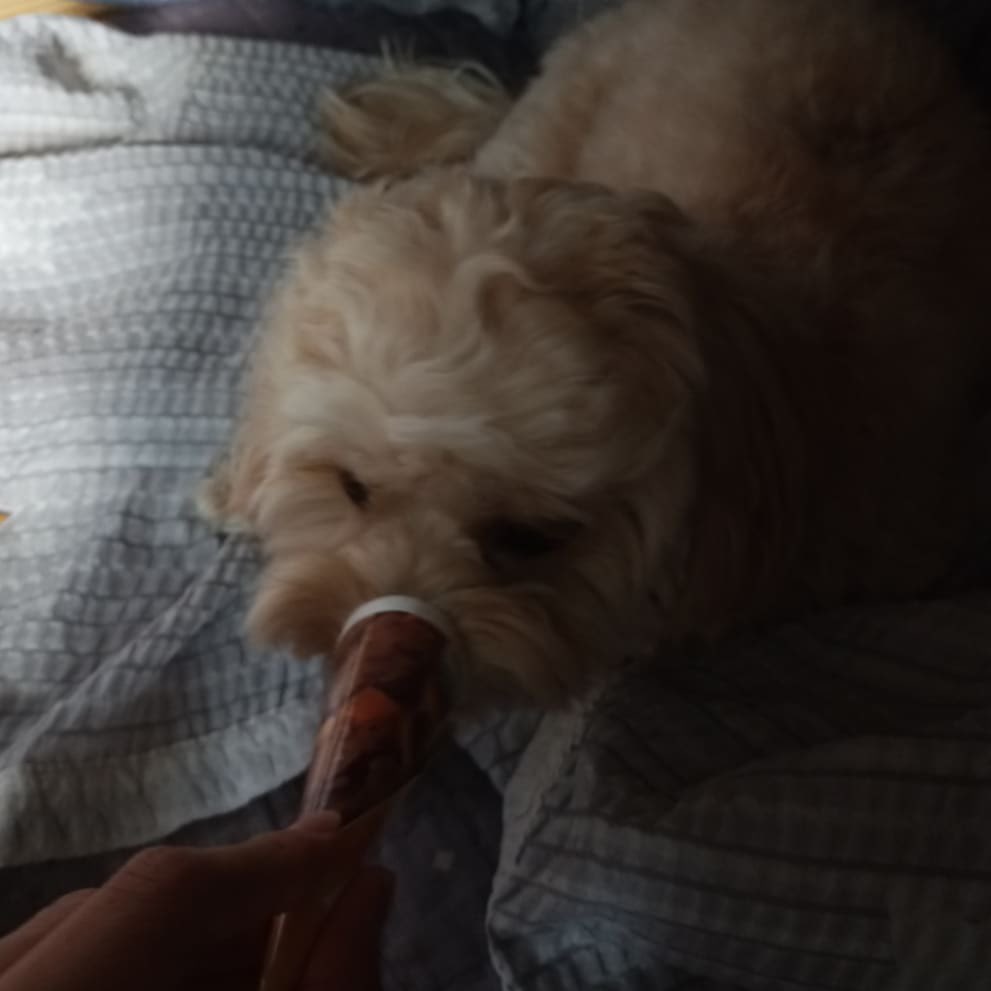 [0813 #yeolmustagram] 

I can put my nose into an ice cream cone now too # smarty 

#wjsn #yeoreum #yeolmu
#우주소녀 #여름 #열무