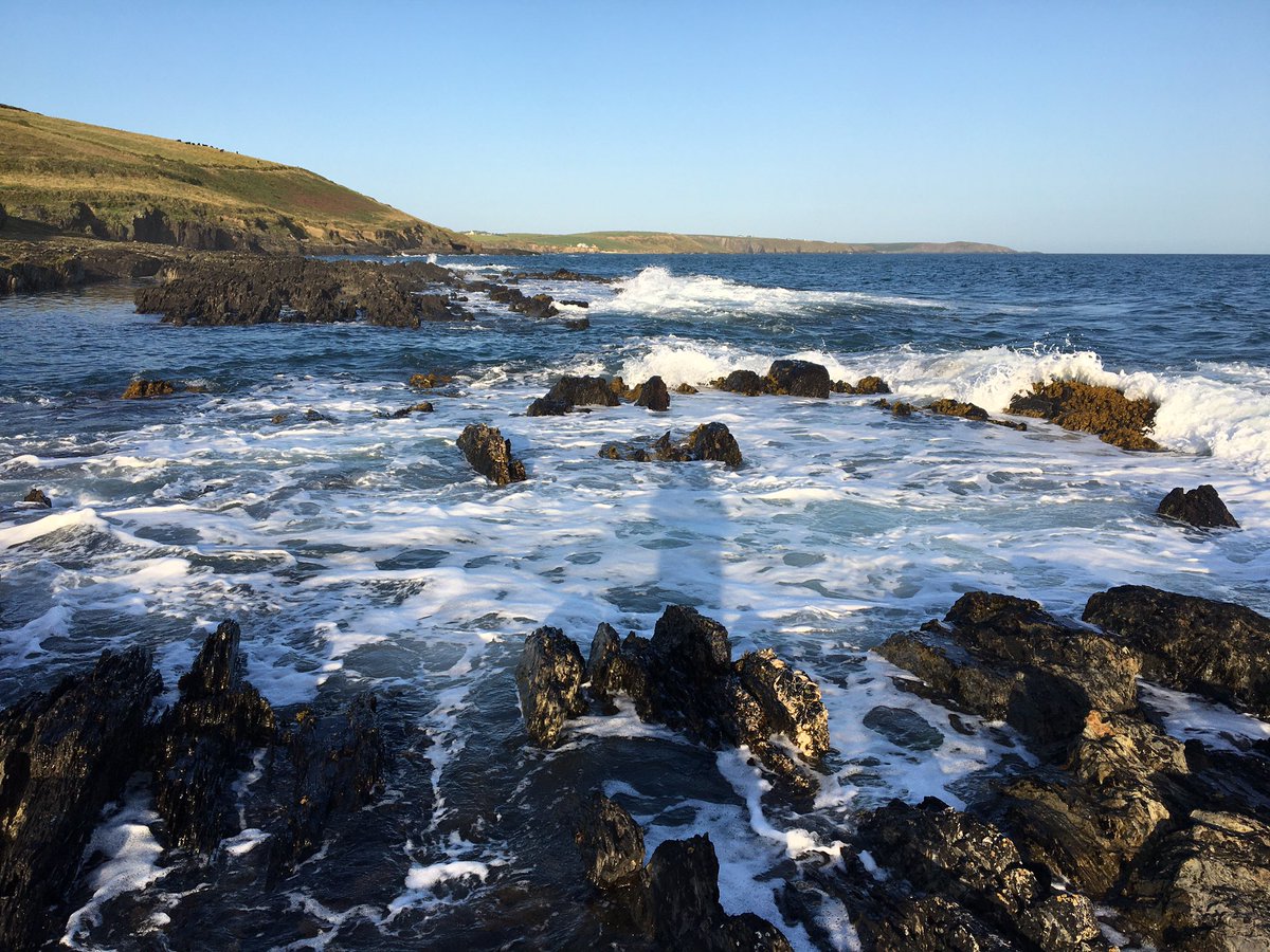 VertebratePublishing tweet media