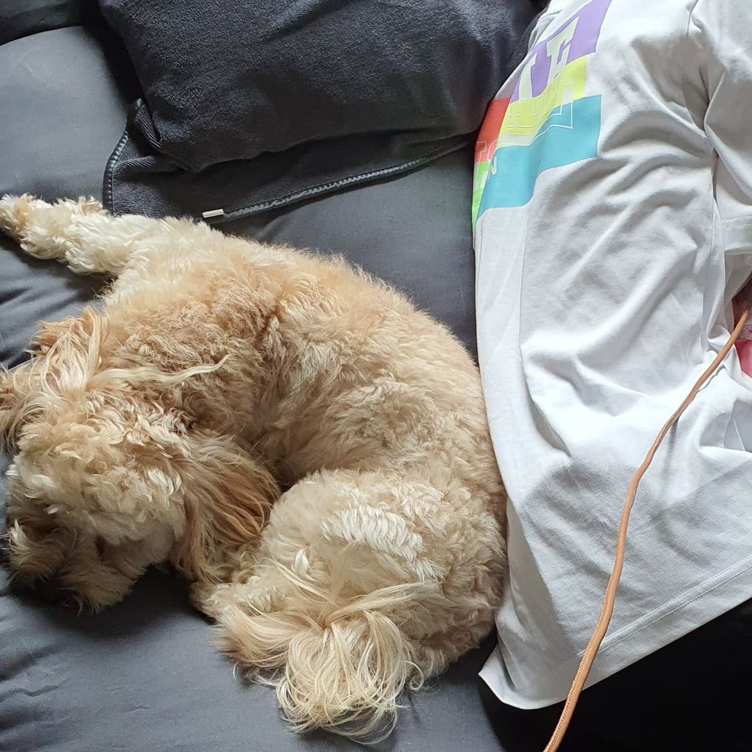 [0813 #yeolmustagram] 

I like to copy unnie, unnie lover, only look at summer 💜

#wjsn #yeoreum #yeolmu
#우주소녀 #여름 #열무