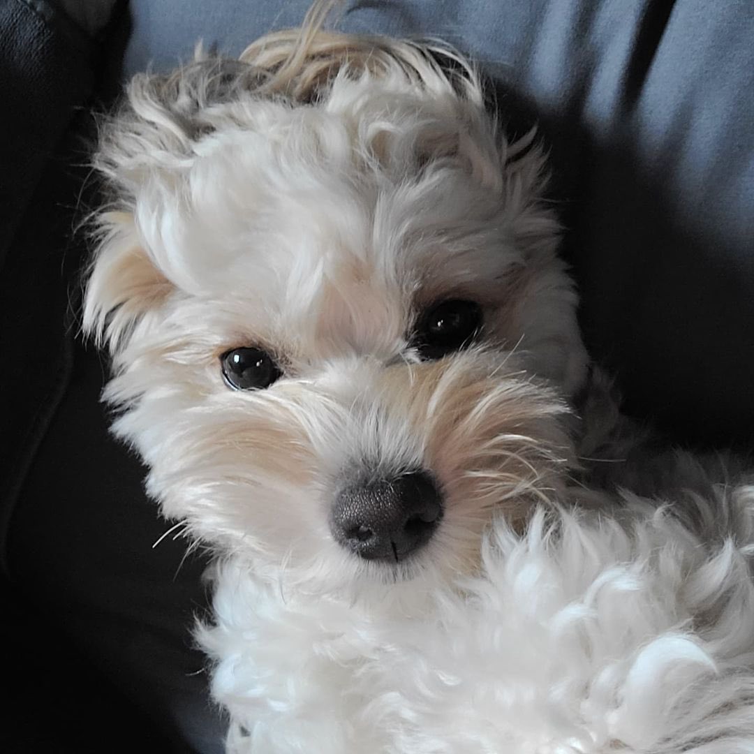 [0813 #yeolmustagram] 

what are you looking at? am I cute??

#wjsn #yeoreum #yeolmu
#우주소녀 #여름 #열무