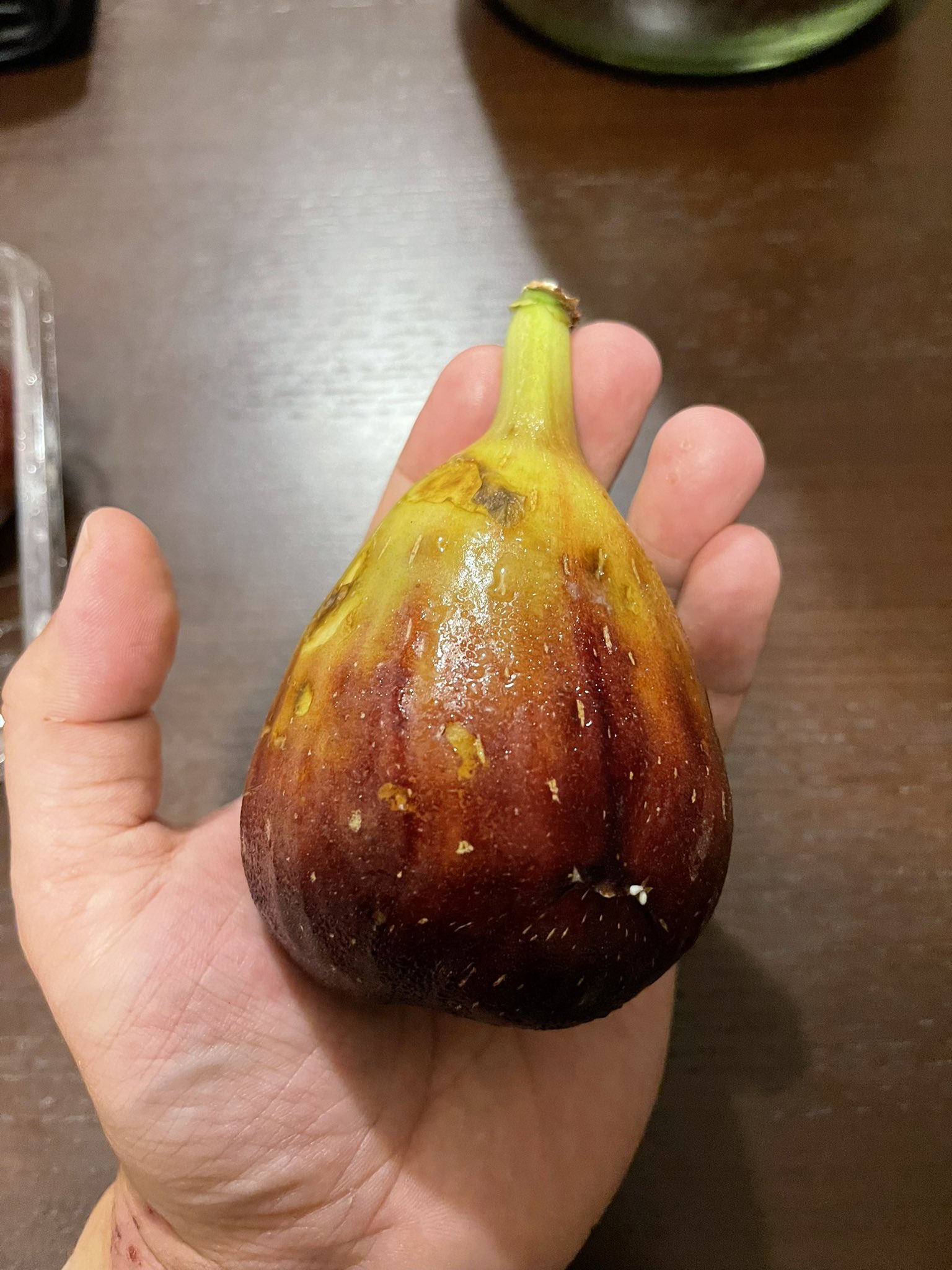 珈琲屋のっそり 京都三条会商店街で 城陽の無花果 が売られてました 1パック398円 晩ご飯後のデザートです 城陽の無花果 T Co Opd4jlsscf Twitter