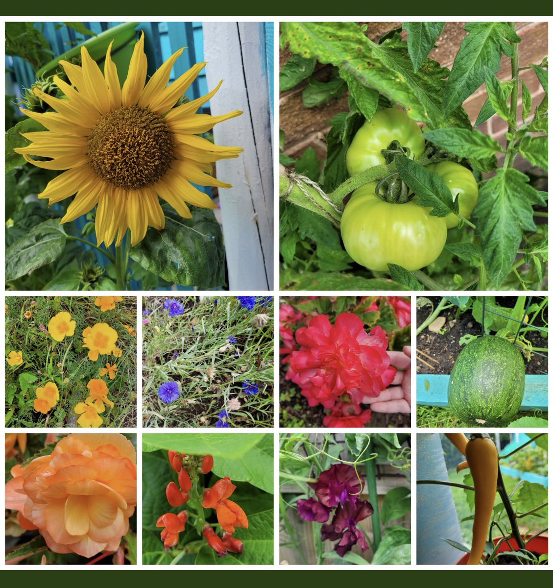 thingwallprima1's tweet photo. ππWeβve had some fantastic #rainbowsofnature photography competition entries so far. If youβd like to join in, please upload a nature photograph with the hashtag #rsinbowsofnature and donβt forget to tag @thingwallprima1 as well. Winners will be announced in September. ππ https://t.co/ldLgkqMcjv