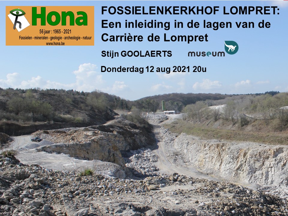 GoolaertsStijn's tweet image. This week's #FossilFriday was actually a Thursday Evening Teams session teaching stratigraphy to fossil enthusiasts preparing for our collecting trip this Saturday. Hoping for some good finds! #outreach #fossilcollecting #citizenscience