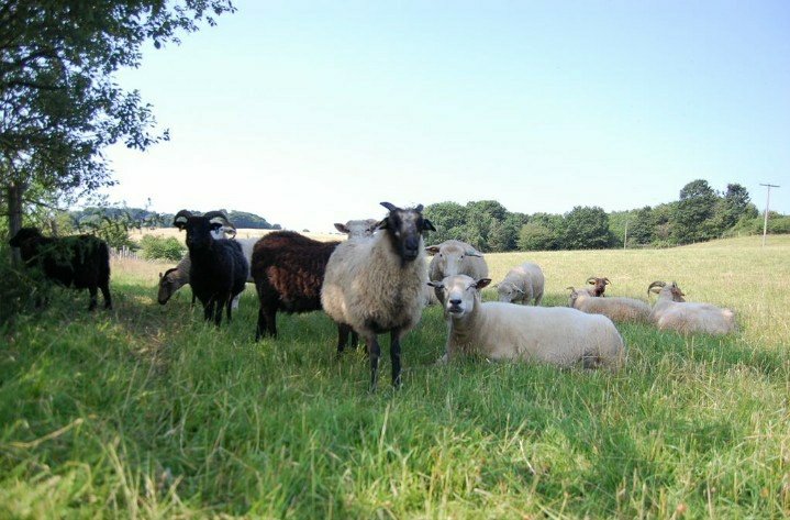 WigfieldFarm's tweet image. We are CLOSED today due to student enrolment. Apologies for any inconvenience caused. We will be open tomorrow and Sunday 👍
#closedtoday #notopen #studentenrolment #Barnsley #fridaymorning