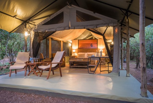DevineAdv's tweet image. Lerai Safari Camp

We all love a good offer 🙌🏾
Pay for 2 nights, stay for 3

RATES:
KSH. 46,000/- PPS (July to Sept)
KSH. 35,000/- PPS (Sept to Oct)

Valid till 31st Oct. 2021

#devineadventures #luxurytravel #migrationseason #masaimara #kenyasafari #magicalkenya #tembeakenya🇰🇪