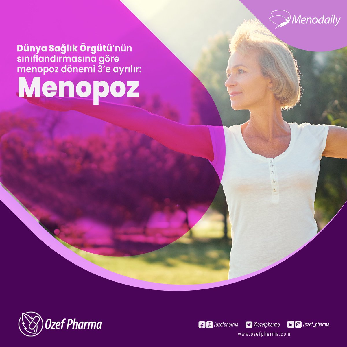 OzefPharma's tweet photo. Dünya Sağlık Örgütü’nün sınıflandırmasına göre menopoz dönemi 3’e ayrılır:

- Premenopoz: İlk belirtilerin görüldüğü dönemden menopoza kadar geçen süreyi kapsar. Yumurtalıklarda folikül aktivitesi yavaşlar. Adetler düzensizleşir. Bu süreç birkaç ay ya da yıl sürebilir. https://t.co/FLh3xZdSJQ