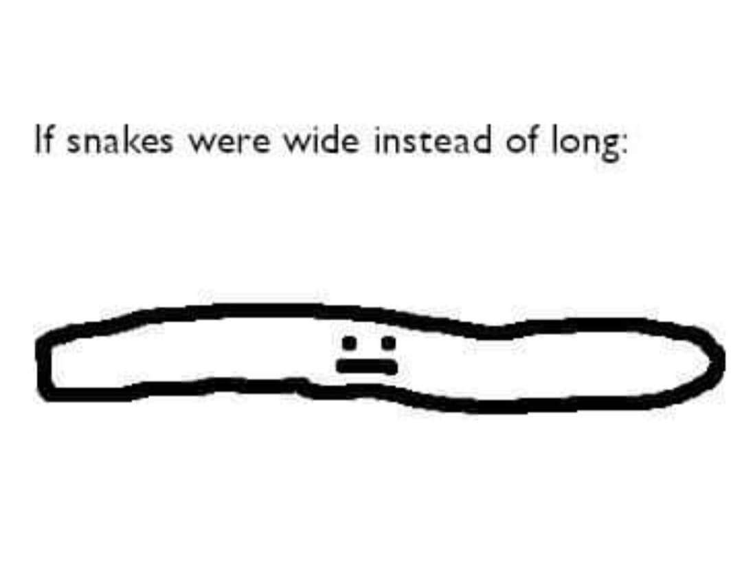 studpham's tweet image. 