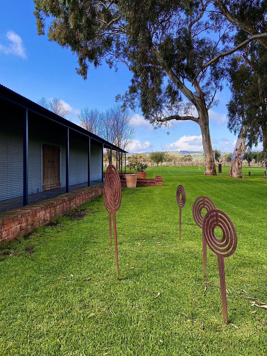 The weather forecast, 15 today 17 Sat &amp; Sun.  Wine forecast Rose, Shiraz &amp; Grenache.  See you soon!
#weather #tourism #barossa #southaustralia #wine #shiraz #grenache #lawn