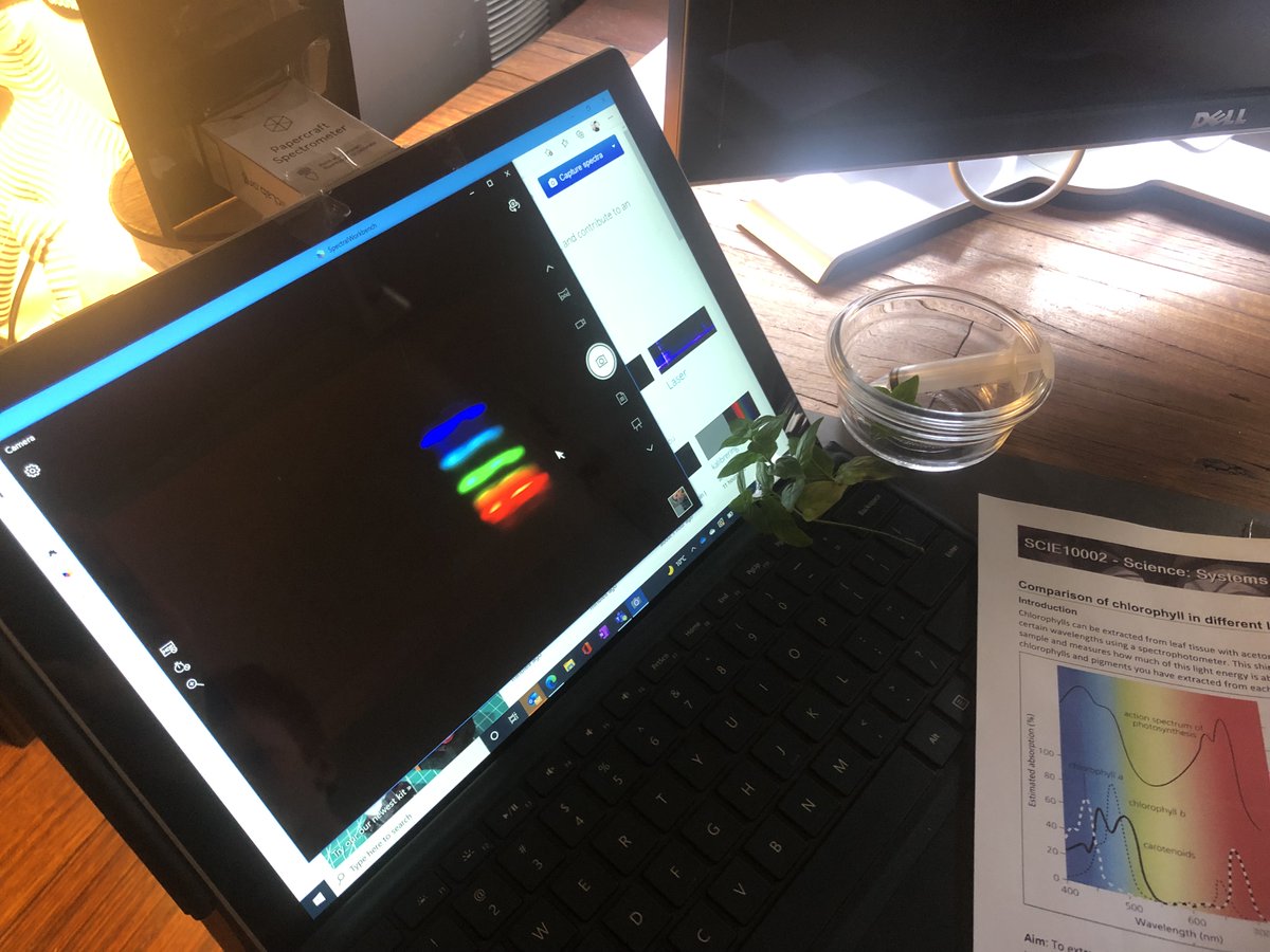 BioSciences UniMelb tweet media