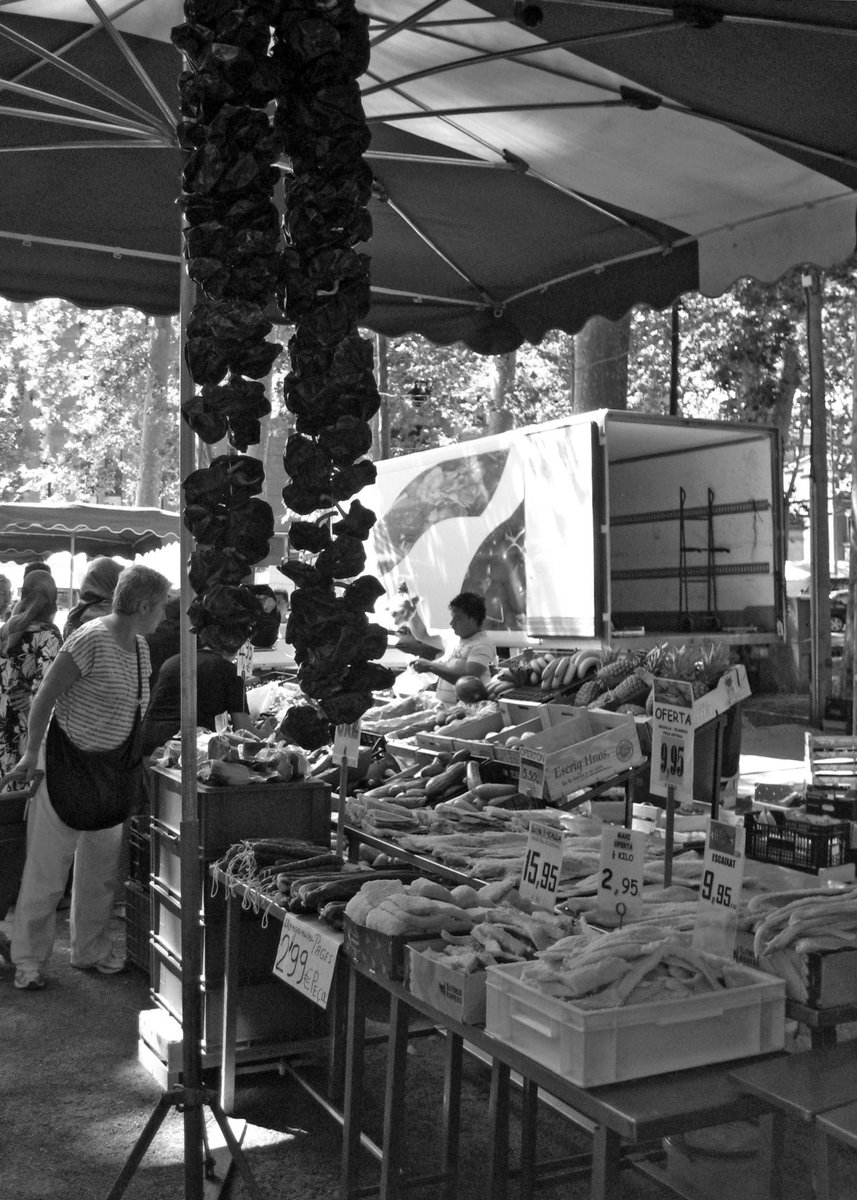 RosaVaz42173347's tweet photo. Girona, Catalunya. Ph. Andrea Parga, 2011
@andreaparga7
#street #markets #freshmarkets #streetmarkets #girona #catalunya #spain #monochromephoto #bn #blackandwhite #blackandwhitephotography #photography #photos #city #calle #mercados #airelibre #verano #fotografía #fotografía https://t.co/vjBDhS9kUk