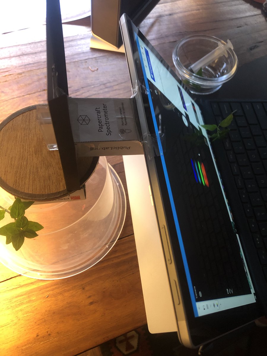 BioSciences UniMelb tweet media