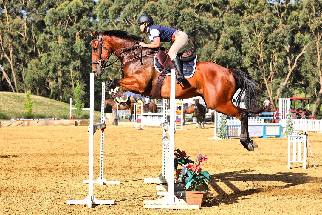 teamtbnsw's tweet photo. Former apprentice premiership-winning jockey Courtney Van Der Werf retired from race riding early. Now the talented young horsewoman has a new focus - balancing trackwork and preparing Thoroughbreds for life after racing.  
📰 Story https://t.co/fJJZxvYmO1 https://t.co/c0D5fZ4CBO