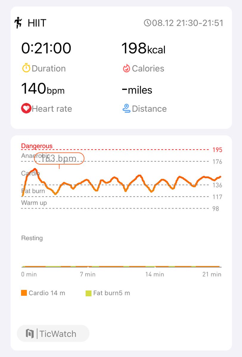 Turtle turtle tweet media