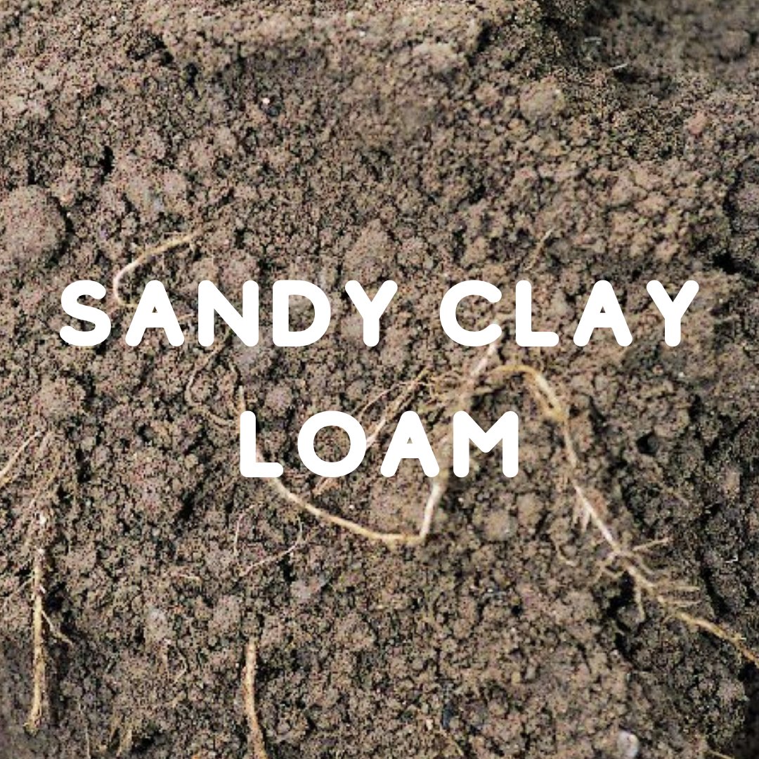 peat_free's tweet photo. Day#3 of 12 soil types in 12 days based on #usda #soiltexturetriangle
Gotta get them all!!!
Let's hear it for the #sandyclayloam
#Whatsyourtype?

#nature #garden #plants #gardening #grow #mygarden #gardens #gardenlife #harvest #gardendesign #gardener #urbangarden https://t.co/xhBeLxDQQ9